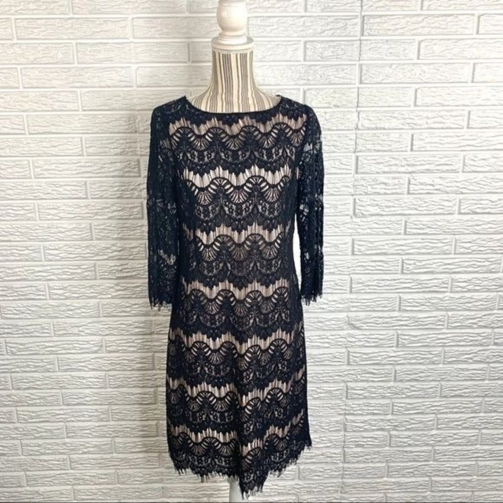 The Limited Black & Nude Lace Cocktail Dress Size Extra Small